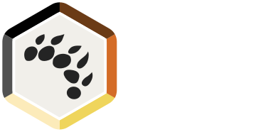 Bear Underground